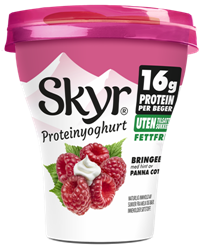 Skyr Bringebær med et hint av panna cotta